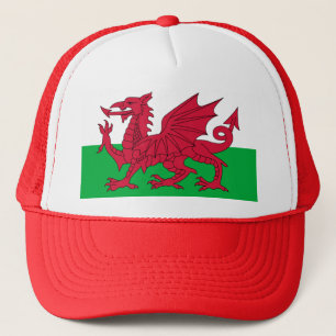 Patriottische rode draak van het Wales Sports Team Trucker Pet