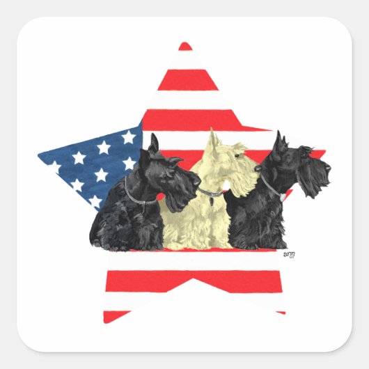 Patriottische Schotse Terriërs op Ster Vierkante Sticker (Voorkant)