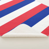 Patriottische Sherpa Blanket met Franse vlag Sherpa Deken (3/4)