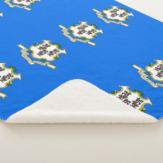 Patriottische Sherpa Blanket met vlag van Connecti Deken (3/4)