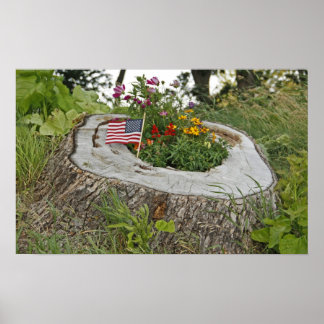 Patriottische stoom poster