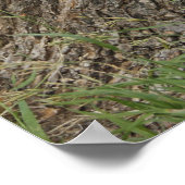 Patriottische stoom poster (Hoek)