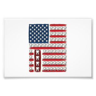 Patriottische Tandarts Tand Vlag Foto Afdruk