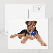 Patriottische Terrier Puppy Briefkaart (Voorkant / Achterkant)