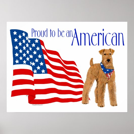 Patriottische trots in Amerika Poster (Voorkant)