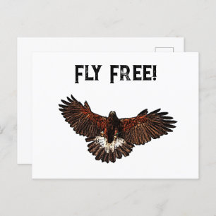 Patriottische USA Eagle Hawk Vlieg Gratis Natuur K Briefkaart