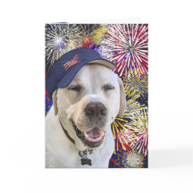 Patriottische Verjaardag Hond en Vuurwerk
