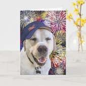 Patriottische Verjaardag Hond en Vuurwerk Kaart (Gele Bloem)