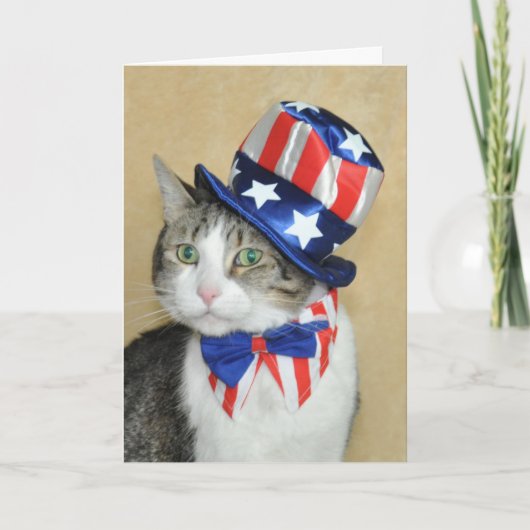 Patriottische vierde van de gestreepte kat van kaart (Voorkant)