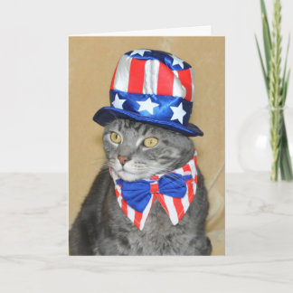 Patriottische vierde van kaart van de Kat van de