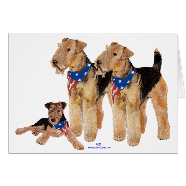 Patriottische vlag Trio (Voorkant Horizontaal)