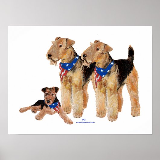 Patriottische vlag Trio Poster (Voorkant)