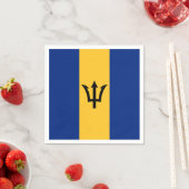 Patriottische vlag van Barbados Servet (Insitu)