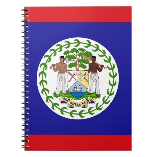 Patriottische vlag van Belize Notitieboek (Voorkant)
