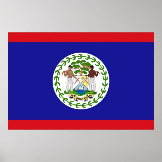 Patriottische vlag van Belize Poster (Voorkant)