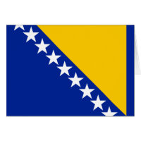 Patriottische vlag van Bosnië en Herzegovina