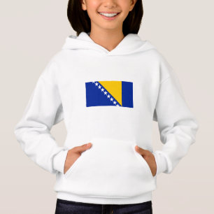 Patriottische vlag van Bosnië Herzegovina