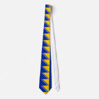 Patriottische vlag van Bosnië Herzegovina