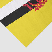 Patriottische vlag van Brunei tissuepapier (Detail)