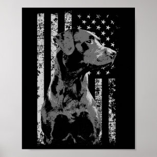 Patriottische Vlag van de VS Zwarte Labrador Cadea Poster