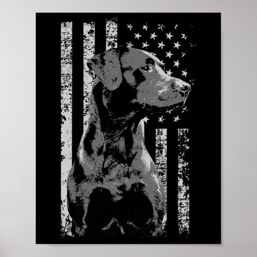 Patriottische Vlag van de VS Zwarte Labrador Cadea Poster (Voorkant)