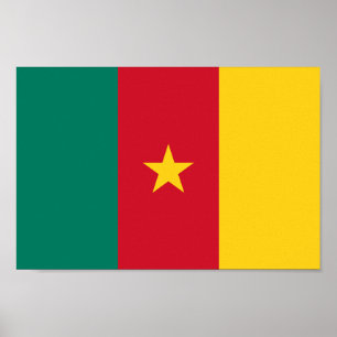 Patriottische vlag van Kameroen Poster