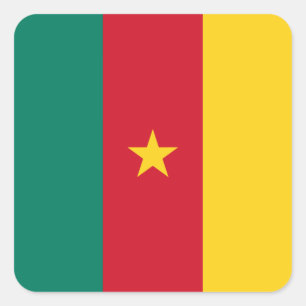 Patriottische vlag van Kameroen Vierkante Sticker