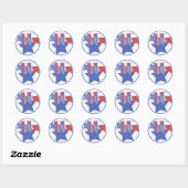 Patriottische Vlaggenlijsten en Ster Ronde Sticker (Vel)