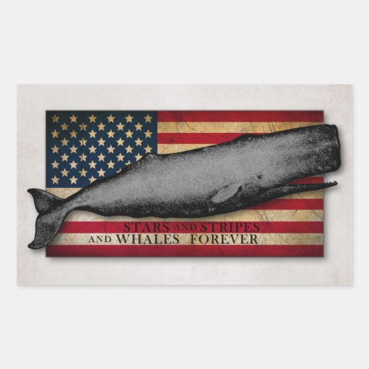 Patriottische  walvis en US Flag Whales Forever Rechthoekige Sticker (Voorkant)