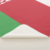 Patriottische Wit-Russische vlag Sherpa Blanket Sherpa Deken (3/4)