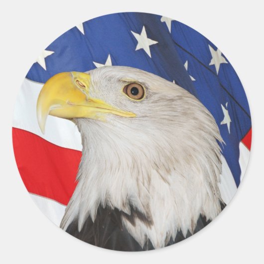 Patriottische zeearend en Amerikaanse vlag Sticker (Voorkant)