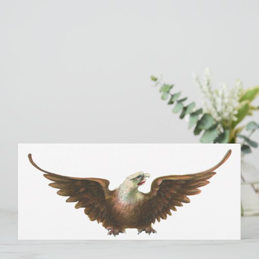 patriottisme American Bald Eagle Bird Flying (Staand voorkant)