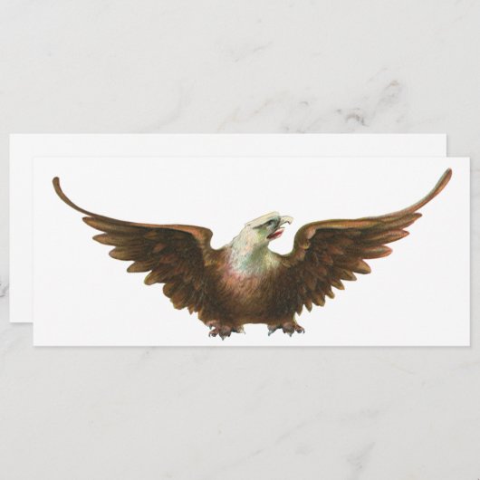  patriottisme American Bald Eagle Bird Flying (Voorkant / Achterkant)
