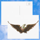  patriottisme American Bald Eagle Bird Flying Briefkaart