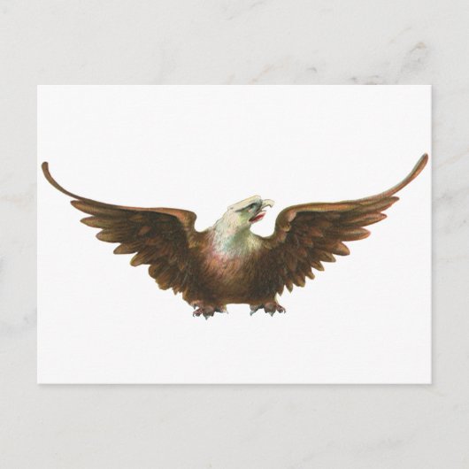  patriottisme American Bald Eagle Bird Flying Briefkaart (Voorkant)