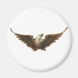  patriottisme American Bald Eagle Bird Flying Magneet