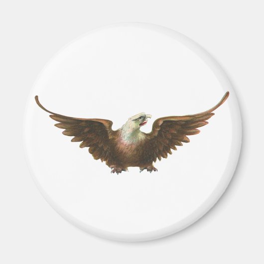 patriottisme American Bald Eagle Bird Flying Magneet (Voorkant)