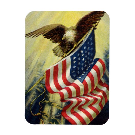 patriottisme, patriottische Eagle American Flag Magneet (Verticaal)