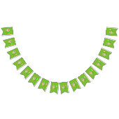 Patritoic Irish Egg Bunting Flags Vlaggetjes (Alle)