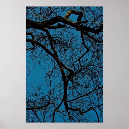 Patronen in de lucht poster (Voorkant)