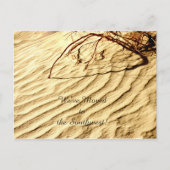 Patronen in het zand, nieuwe adresaankondiging aankondigingskaart (Voorkant)