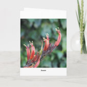 Patronen & texturen Wenskaarten - Houten Deur Kaart (Achterkant)