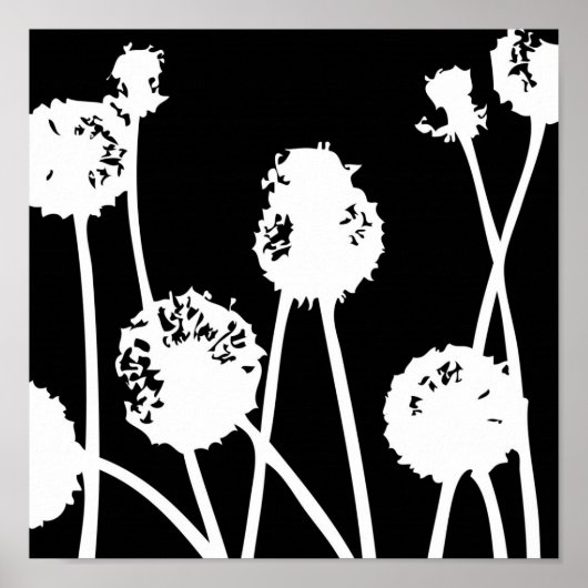 Patronen van de natuur 26 poster (Voorkant)