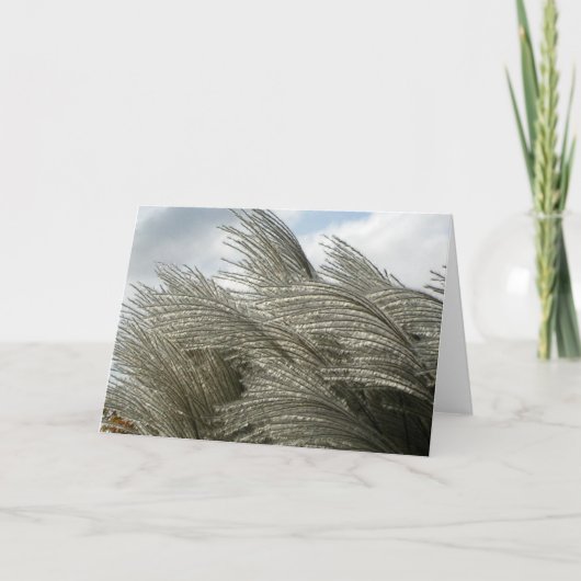 Patronen van de Natuur kaart (Voorkant)