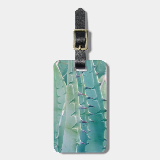 Patronen van een Agave plant Bagagelabel (Voorkant verticaal)