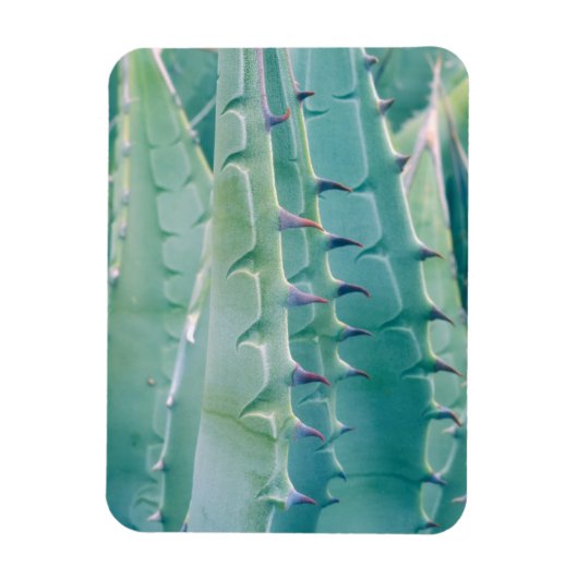Patronen van een Agave plant Magneet (Verticaal)