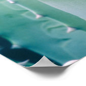 Patronen van een Agave plant Poster (Hoek)