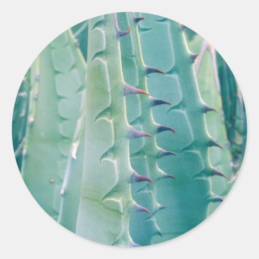 Patronen van een Agave plant Ronde Sticker (Voorkant)