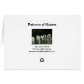 Patronen van Natuur (Achterkant Horizontaal)