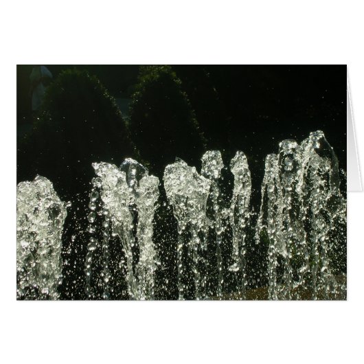 Patronen van Natuur (Voorkant Horizontaal)